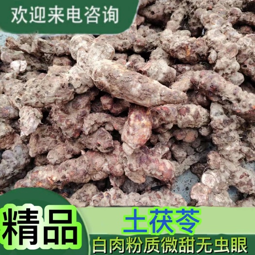 镇宁县精品土茯苓