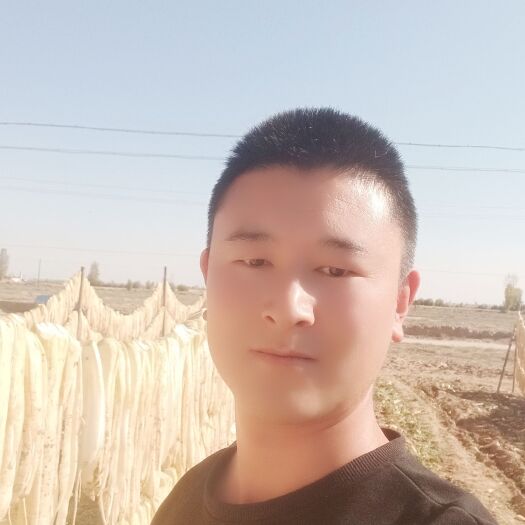 古浪县白萝卜风干中