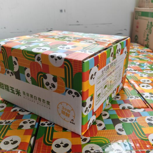 忻州山西忻州甜糯玉米支持代工，快递代发和整车发货，礼盒，可开专票