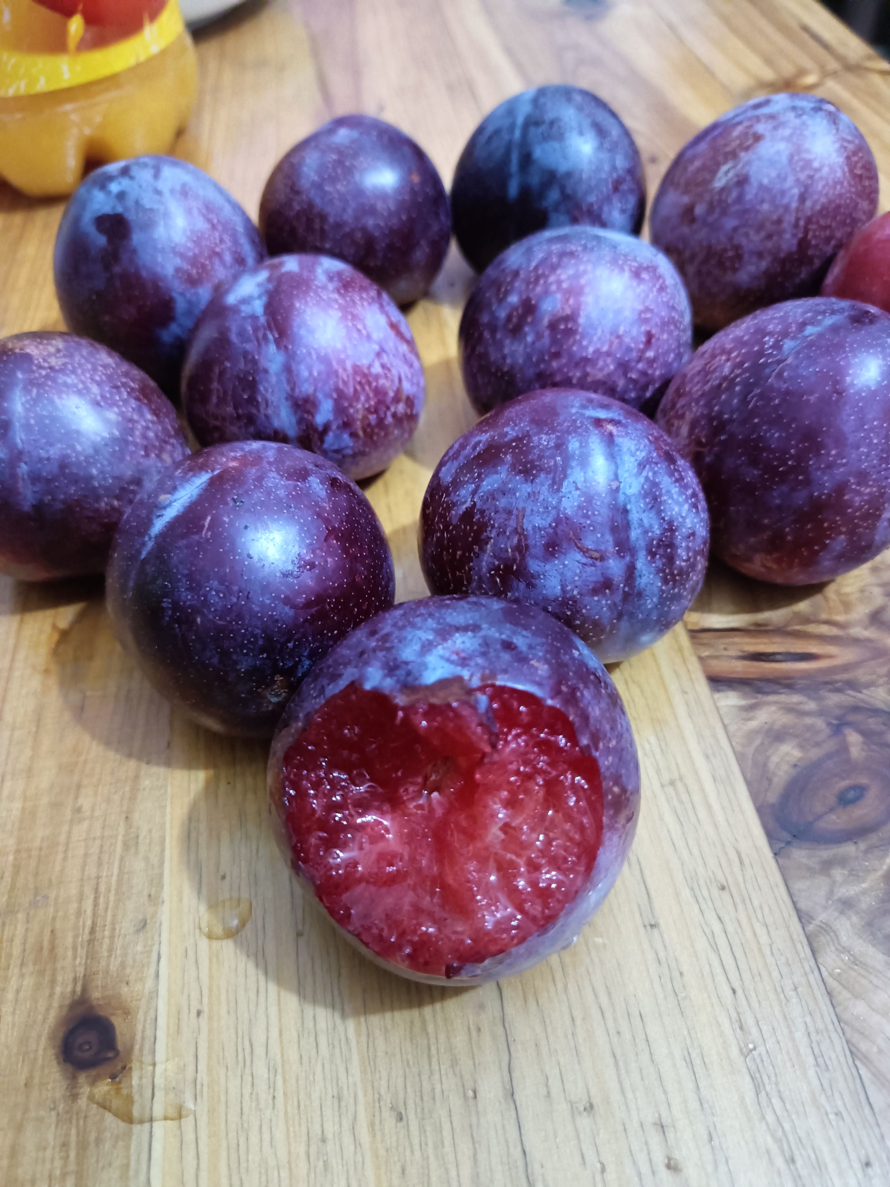 杏李苗  味王李子苗