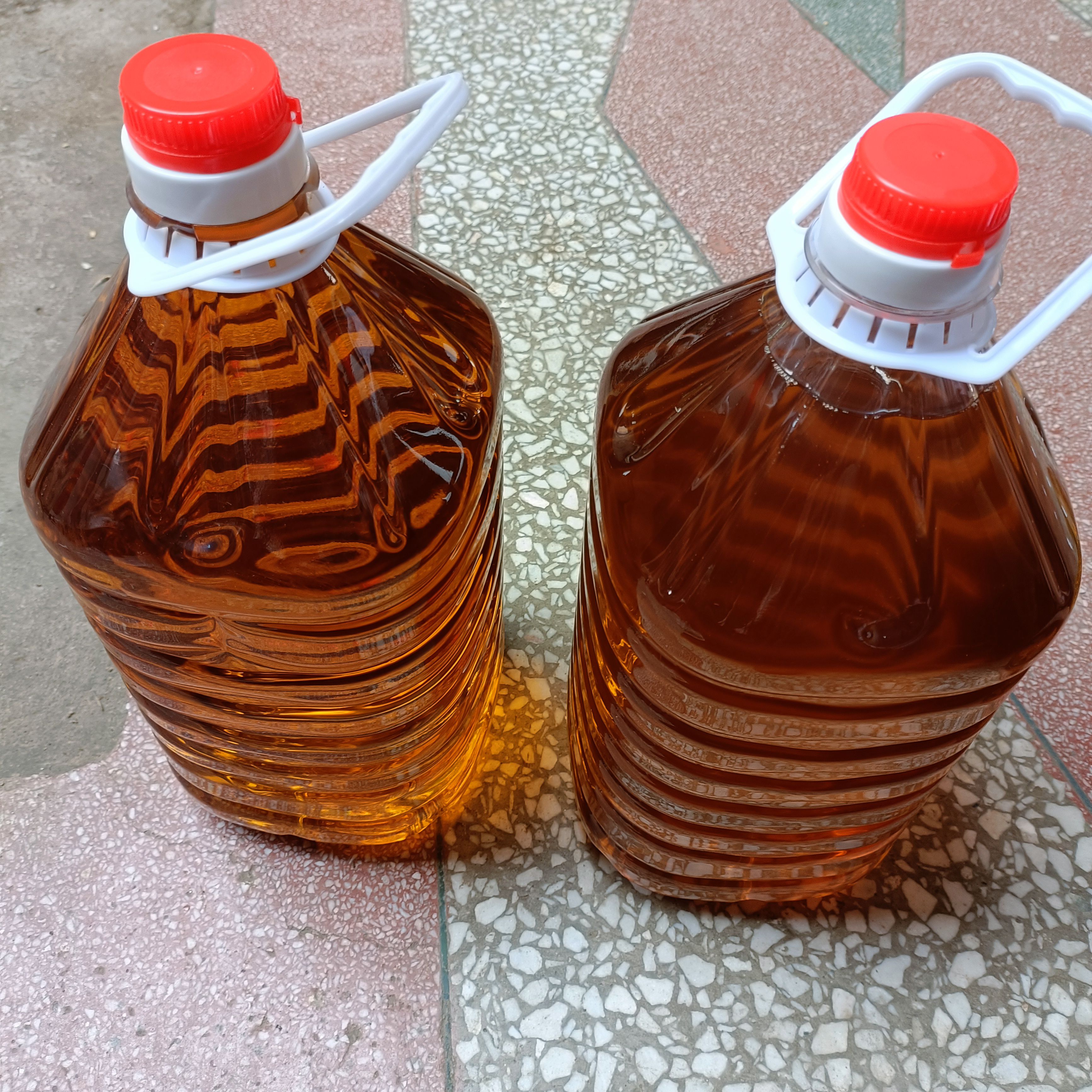 山茶油新货野生小籽油2023批发零售