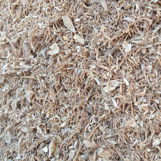 岷县甘肃岷县黄芪沫