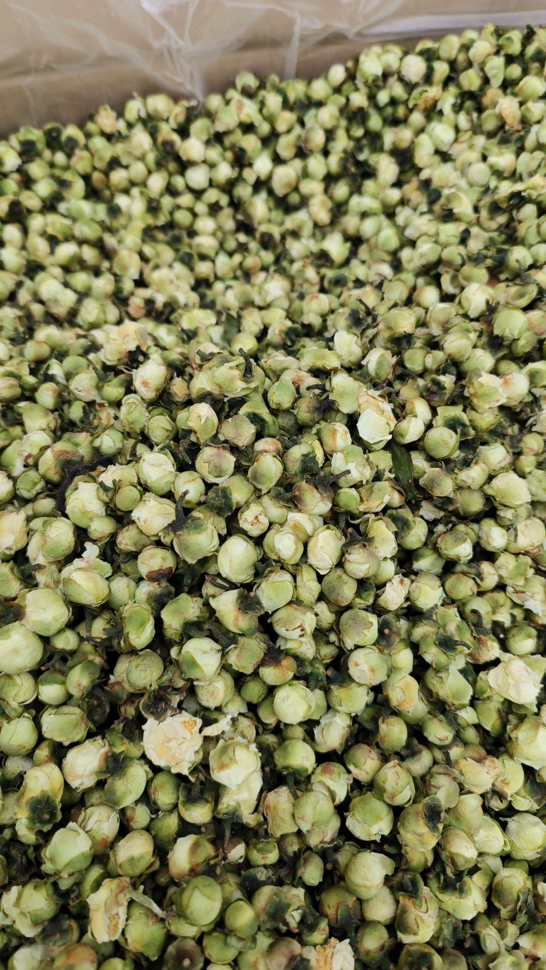 山茶花中药材精选山茶花干货茶树花泡茶泡水喝山茶花茶新货干品