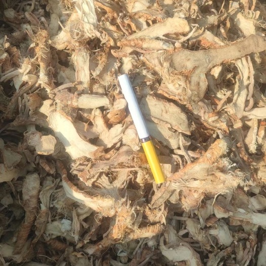 亳州出 知母5吨   本地家种长统片
