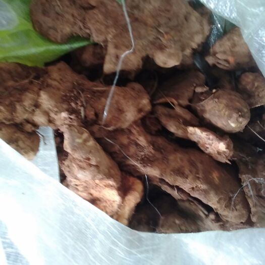 麻阳县土茯苓鲜货