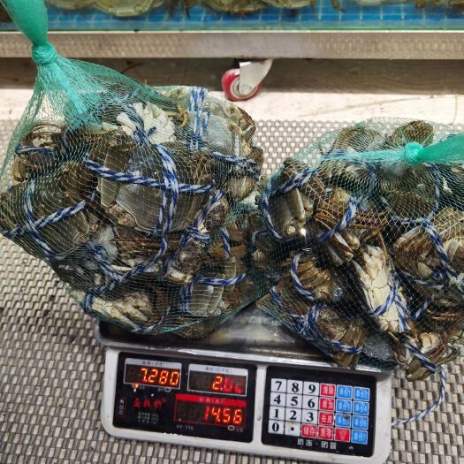 宣城精品固城湖九指残蟹（每只保质量）