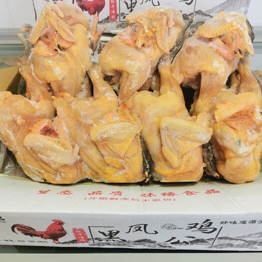 郑州黑凤公鸡，郑州现货，19斤/箱