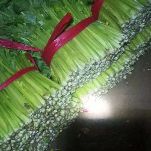 滦南县芹菜