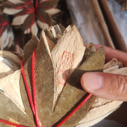 亳州化橘红  正品化橘红 化州正毛橘红【假一赔十】