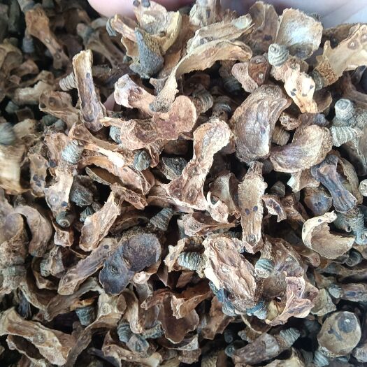 梧州茶籽心，10一斤，不包邮