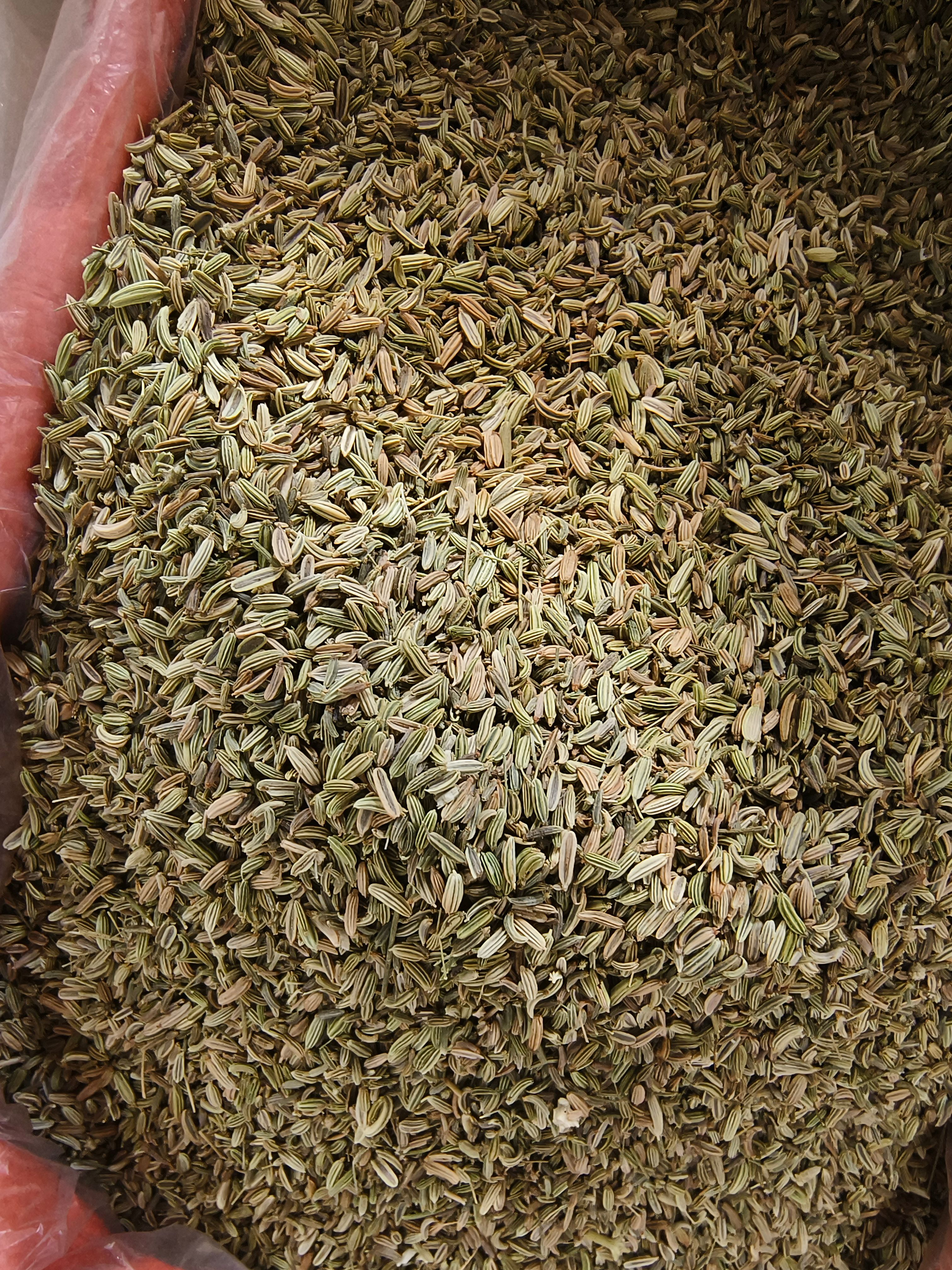 甘肃小茴香，今年新货，颗粒饱满，颜色够绿