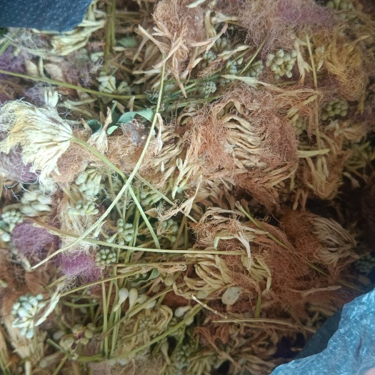 绒花 合欢花中药材 晒干的今年新货