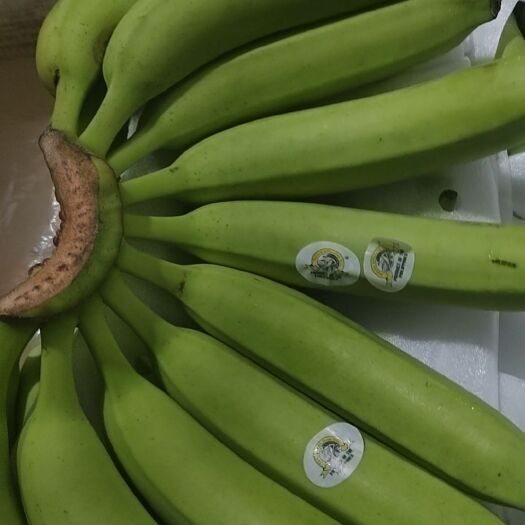 肥西县香蕉专业户合肥六安上门供货