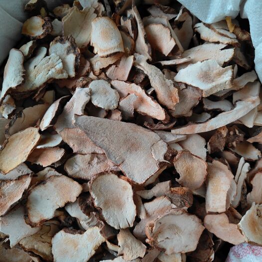韶关土茯苓片大量批发粤北山区韶关本地粉质白肉，无硫！量大欢迎洽谈
