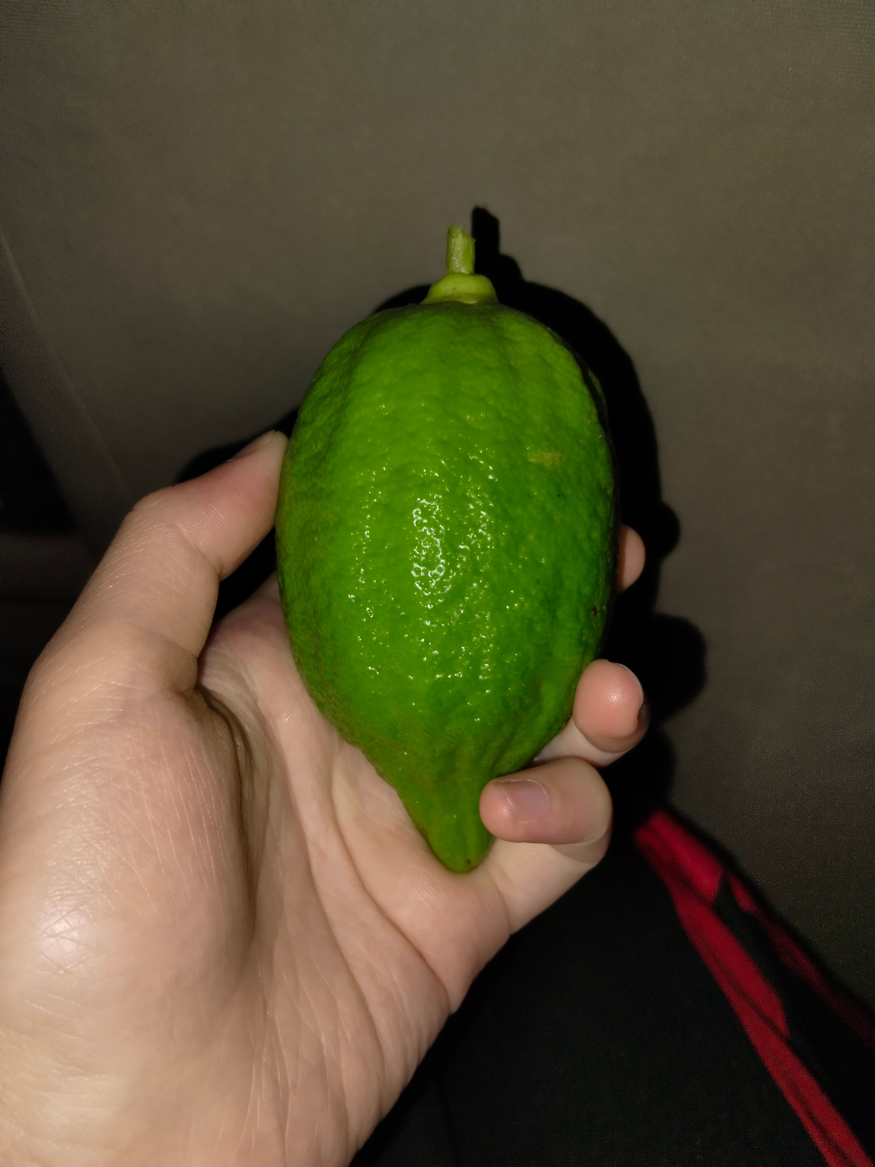 【产地直销】广东  无籽  香水柠檬 产地直销  量大优惠