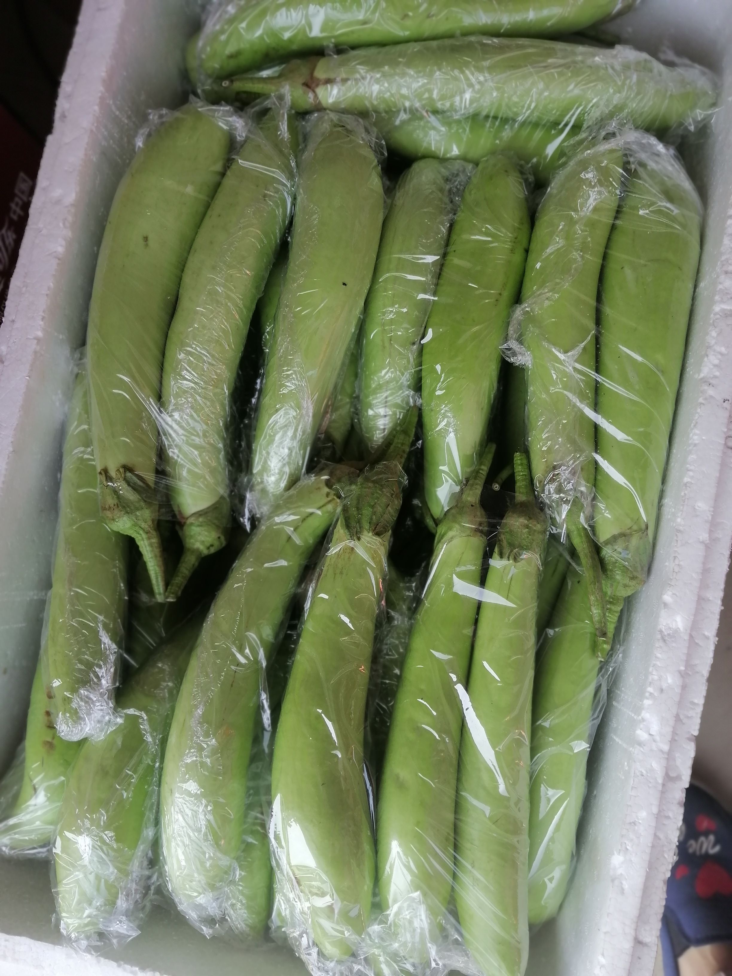 农家青皮茄子绿茄子现摘批发