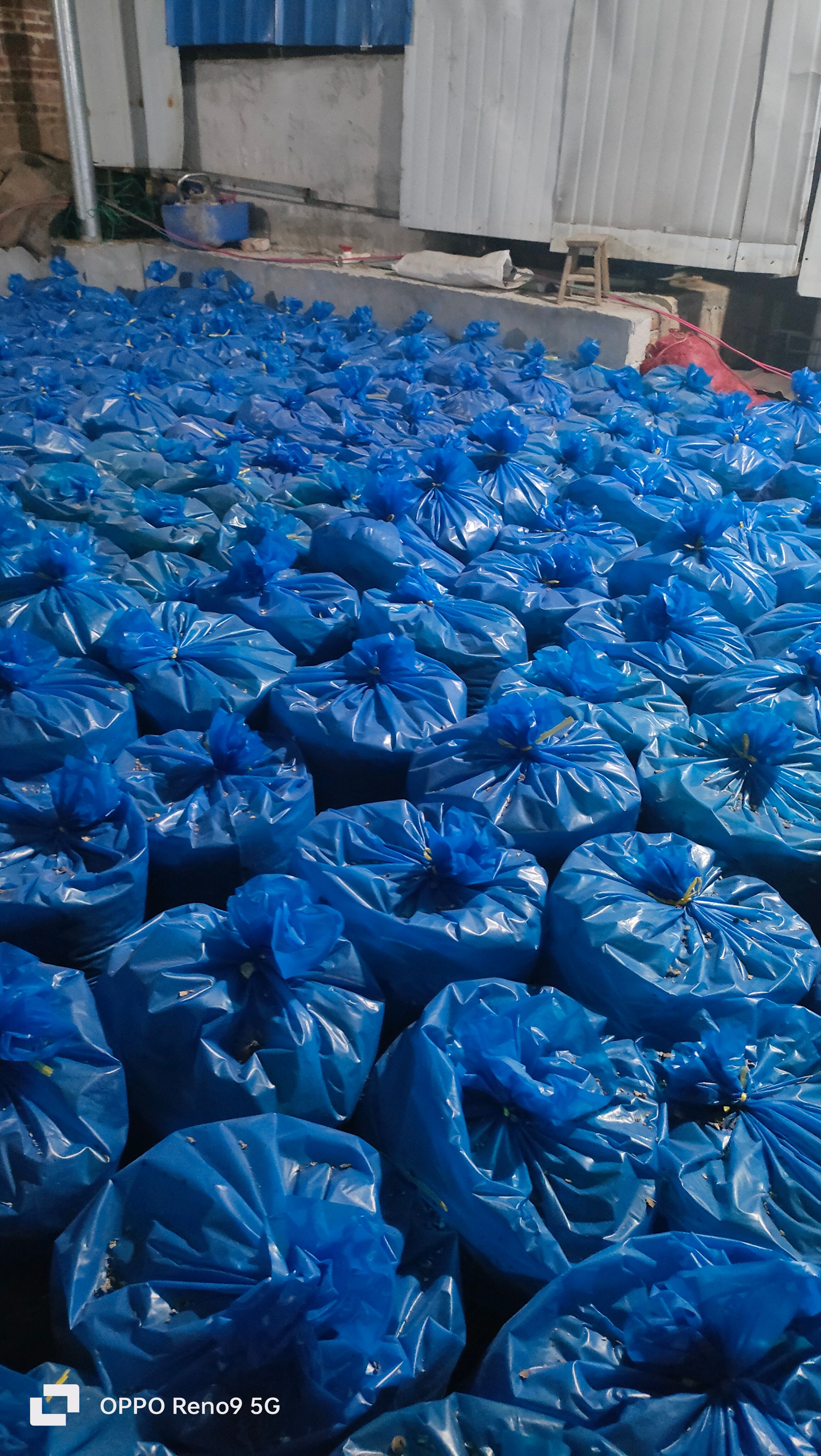 红薯皮绿色饲料，鸭，鸡，牛。猪，羊等