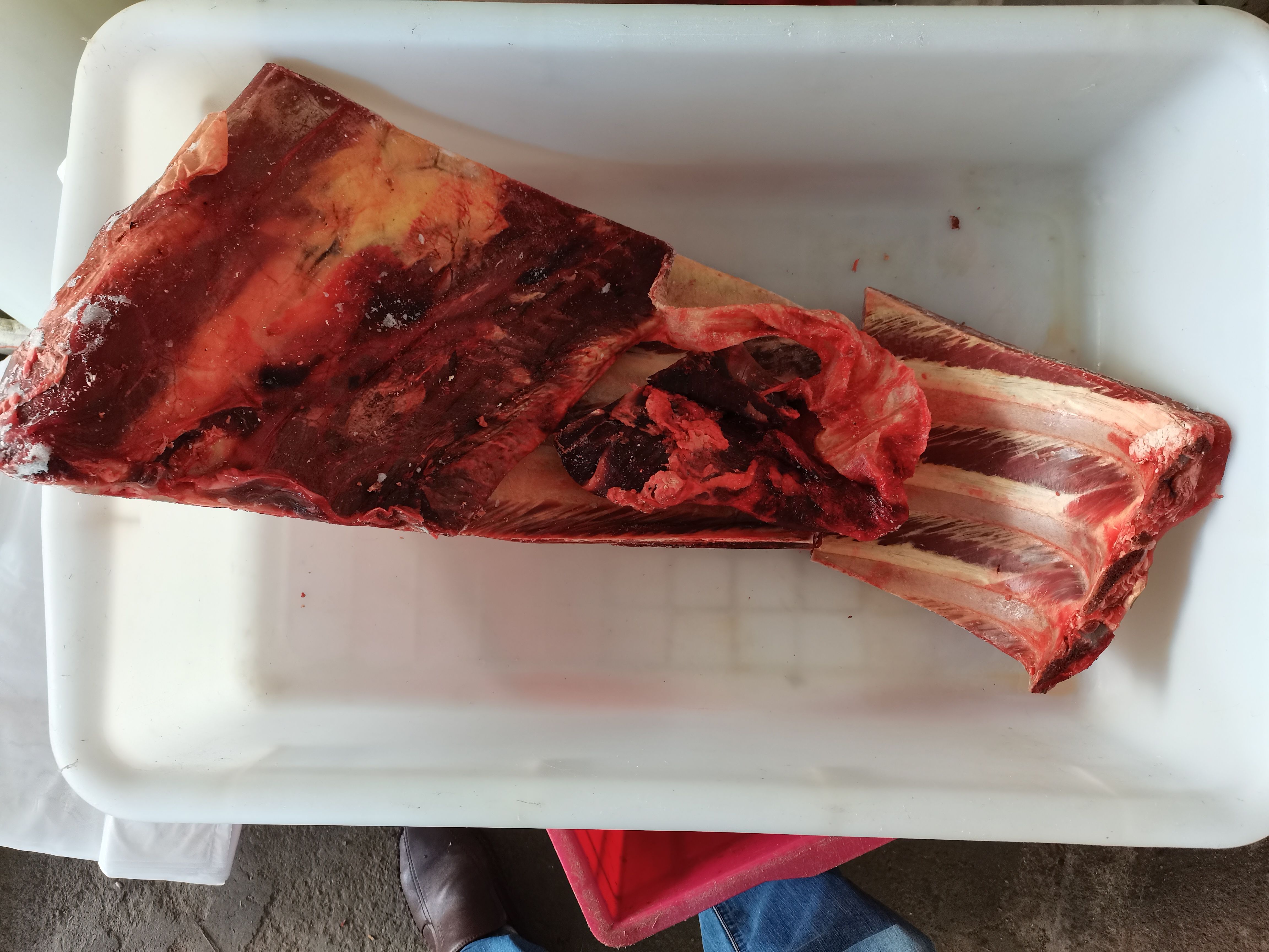 纯干黄牛带肉排骨