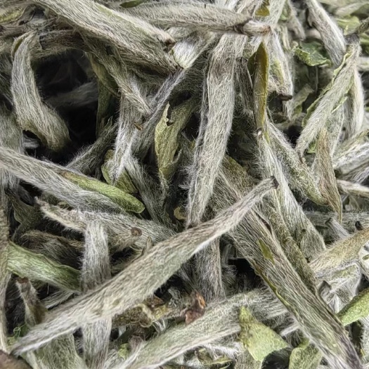 2023年福鼎白茶白毫银针500g