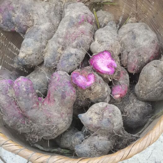 龙胜县脚板薯，类似于山药（淮山），更加粉糯，图三约4斤一个