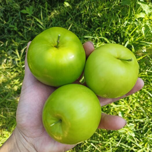 赣南牛奶蜜枣，香甜清脆