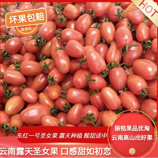 东红一号 云南圣女果，全露天种植，吸收阳光好，口感酸甜适中！
