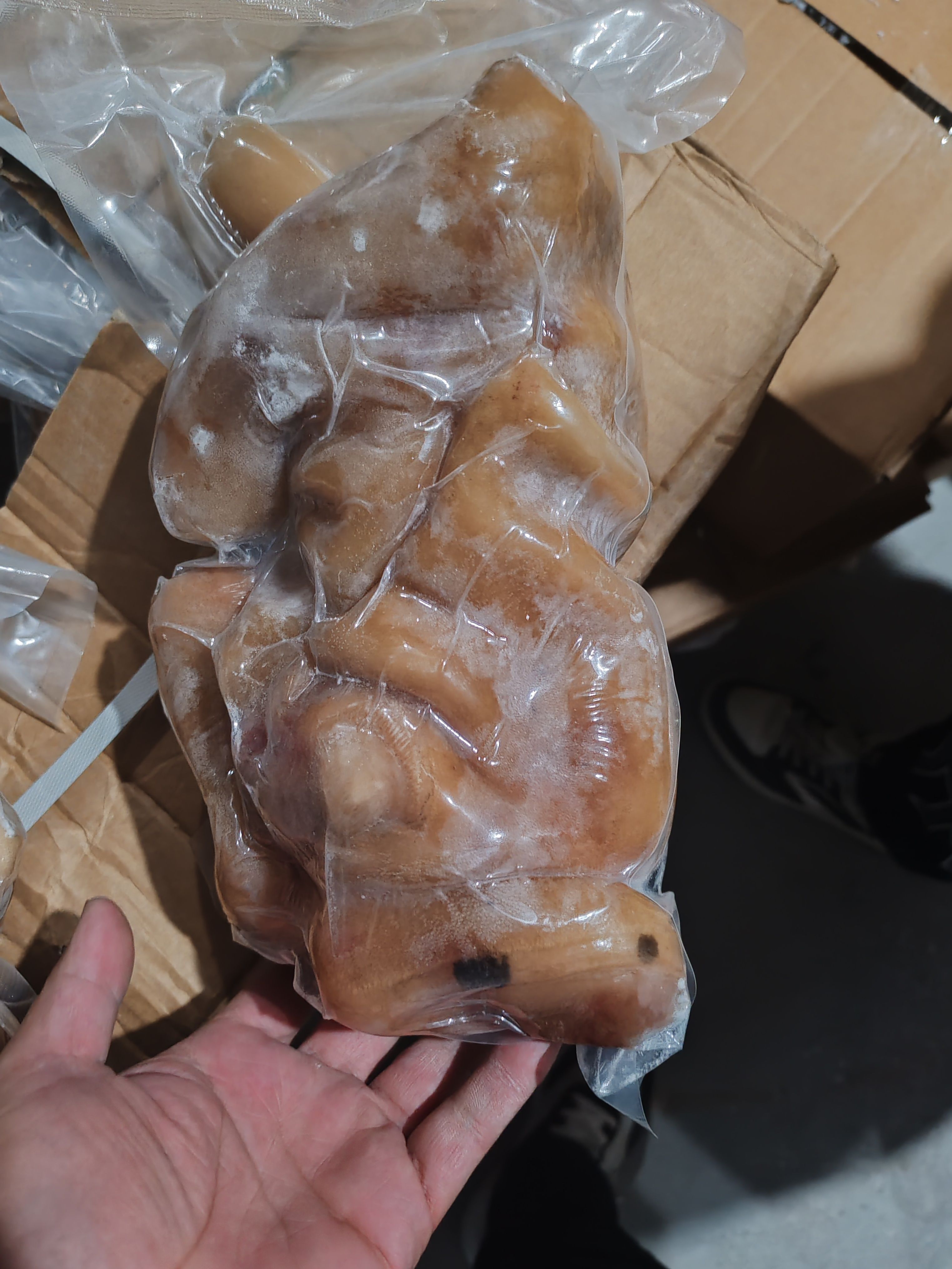 熟牛蹄，去骨牛蹄，纯水煮原味熟去骨牛蹄，带牛主筋，品质高