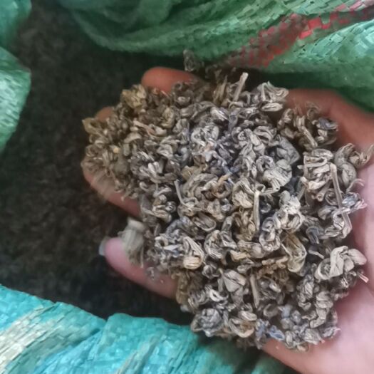 凤庆县绿茶，