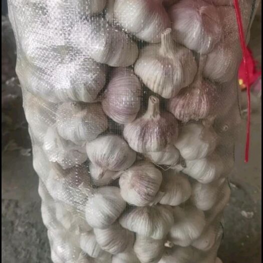 弋阳县大蒜