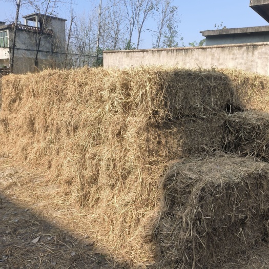 淮滨县稻草