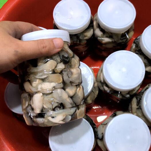 饶平县新鲜现开生蚝肉当天捕捞