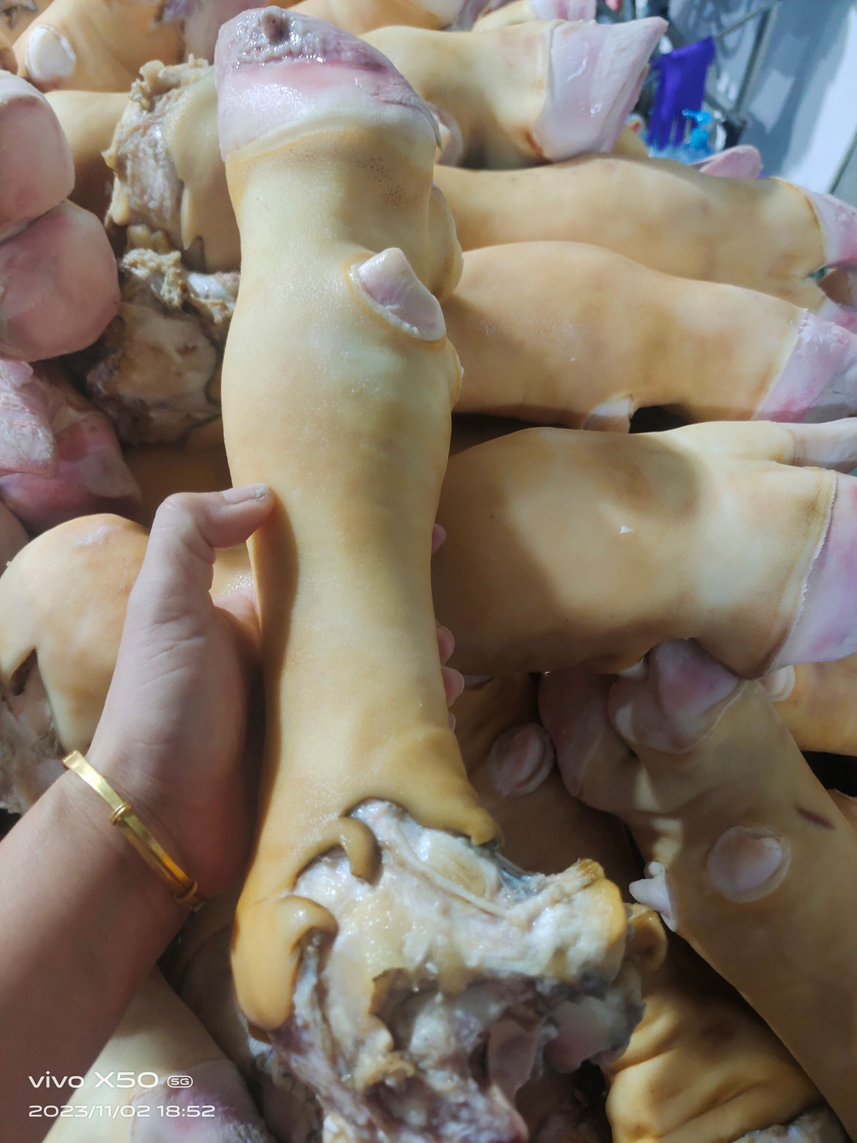 母牛火烧毛牛蹄