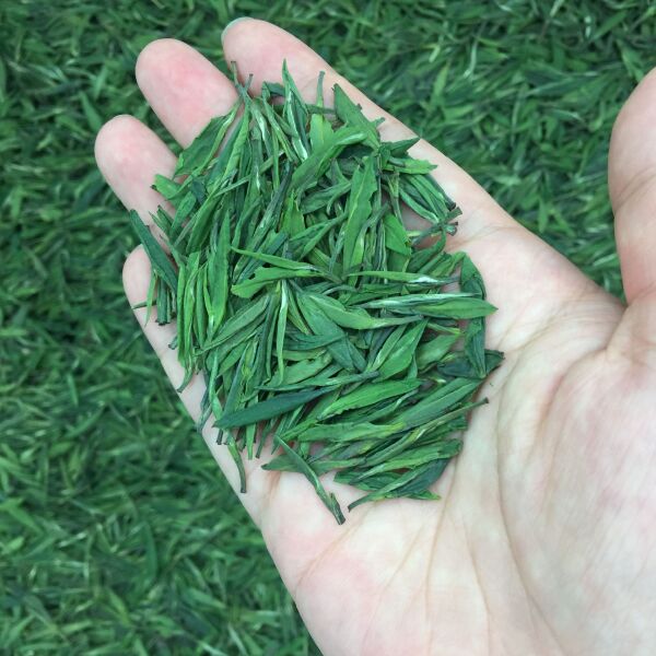 新茶   今年明前龙井绿茶500g 包邮