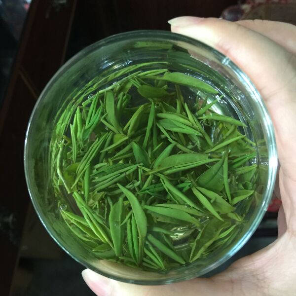 新茶   今年明前龙井绿茶500g 包邮