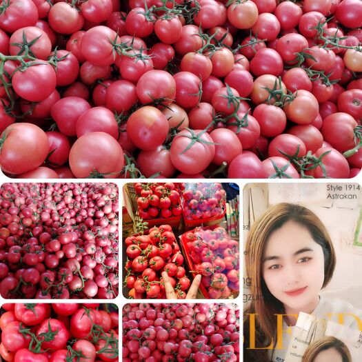 费县山东费县硬粉西红柿串果，单果，光果大量有货，对接电商批发超市