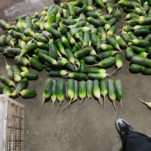 凤台县三青水果萝卜