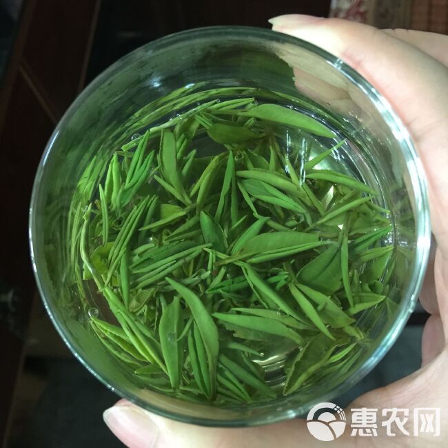 新茶   今年明前龙井绿茶500g 包邮