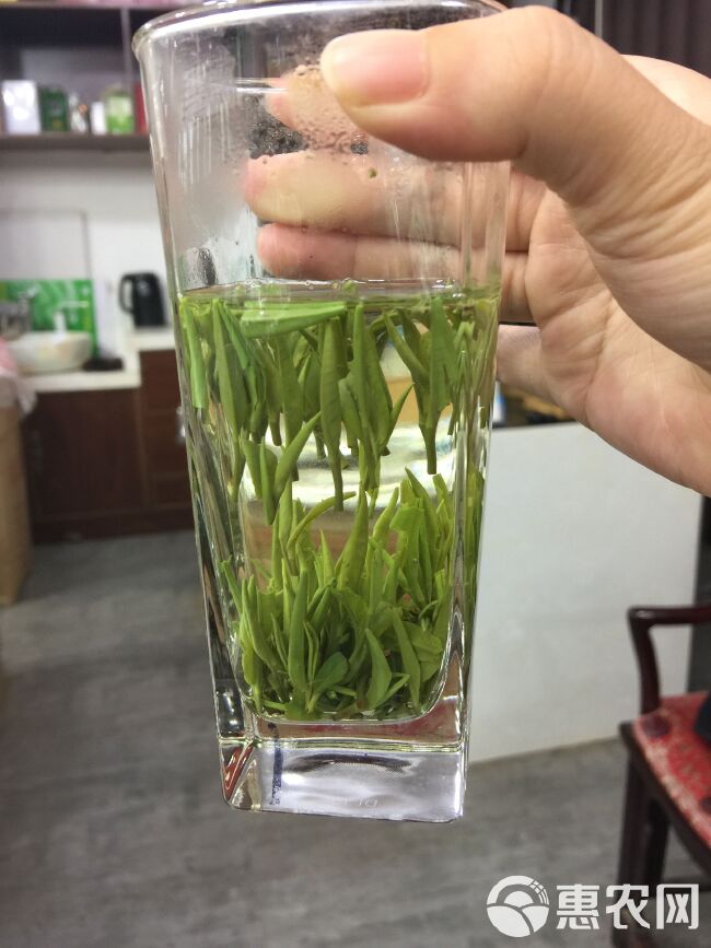 新茶   今年明前龙井绿茶500g 包邮