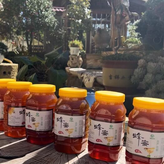 勐海县野蜂蜜  野   生蜂蜜