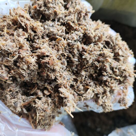 昆明大蒜粕新鲜大蒜粕发酵大蒜粕饲料中大型养殖户喂牛羊鸡鸭鹅羊