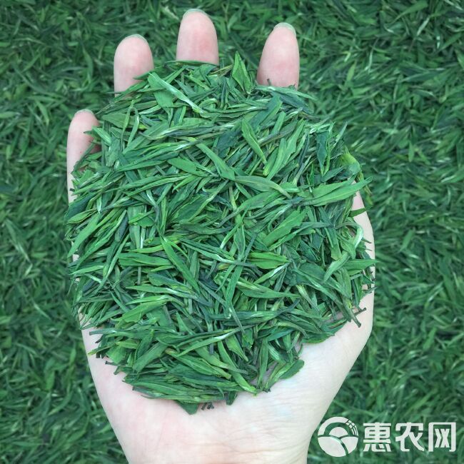 新茶   今年明前龙井绿茶500g 包邮