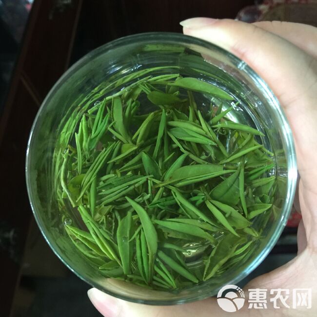 新茶   今年明前龙井绿茶500g 包邮