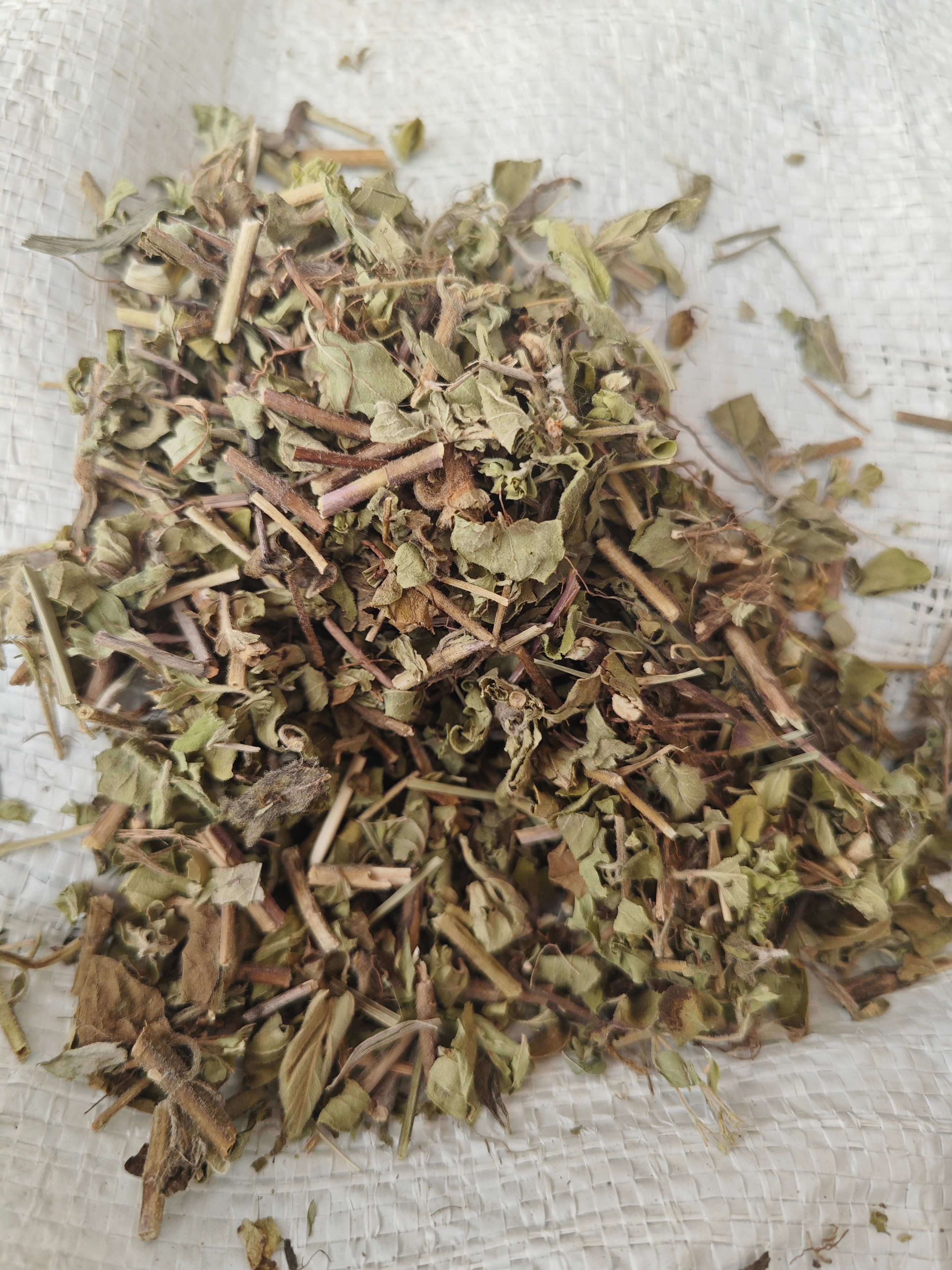 玉林23年新货牛至(土茵陈)