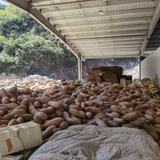印江县700亩瓜  次品正品 量大  铜仁市 两三毛一斤 可聊