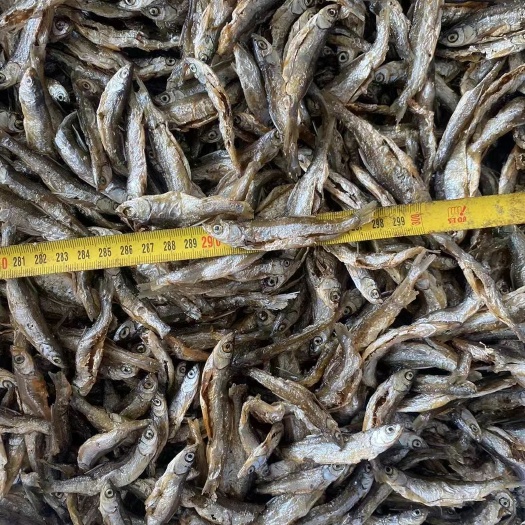 东源县淡水小鱼干 油炸 不苦 微咸