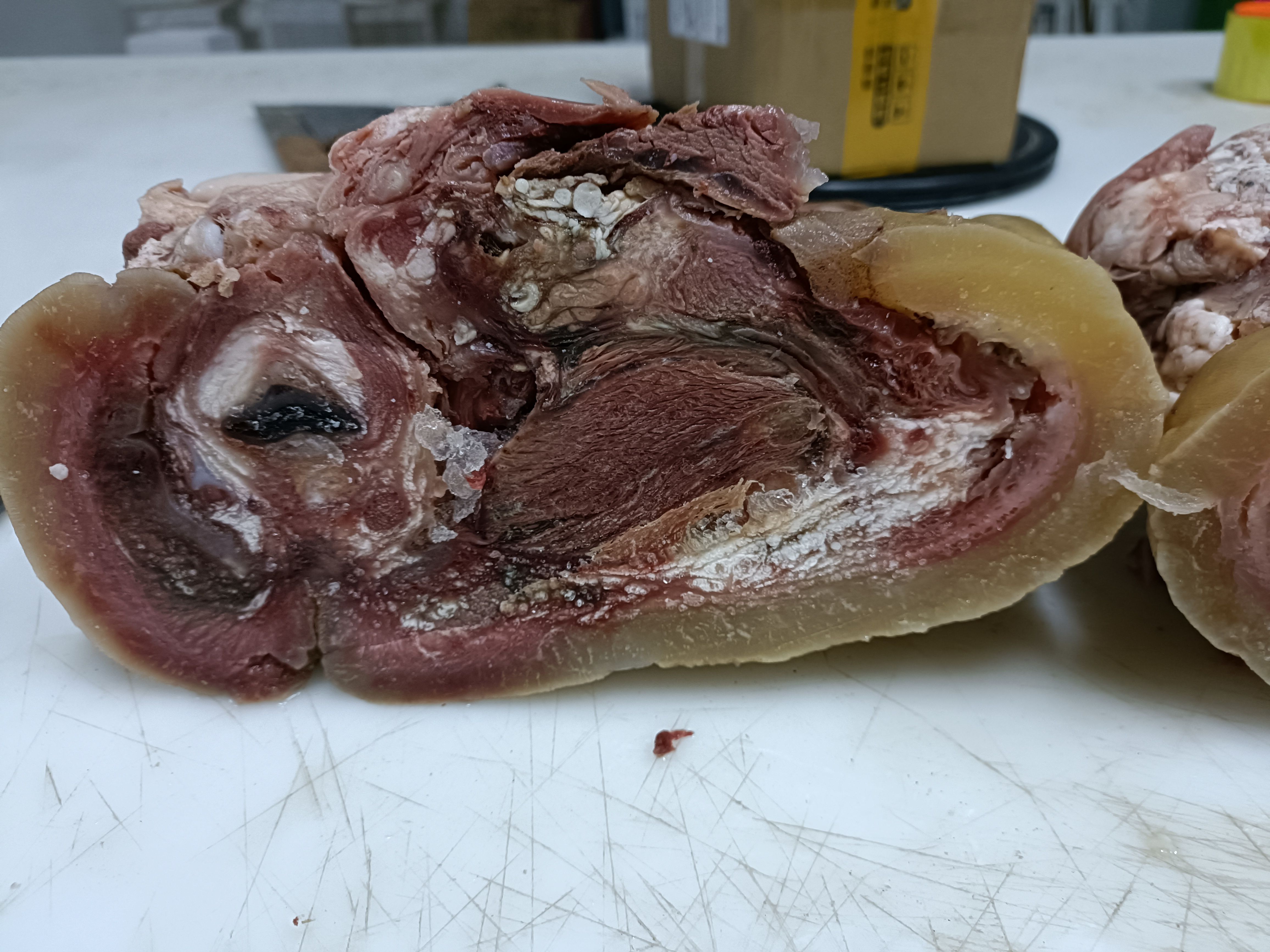 国产新鲜大公牛牛头肉全熟不注水肉质鲜美饱满牛脸肉