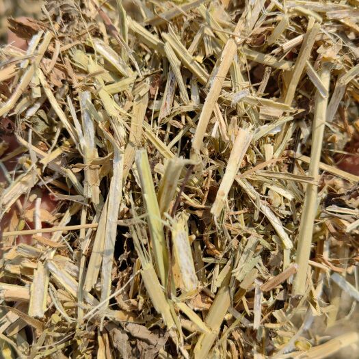 泌阳县精品花生秧 过滚筒 柔丝 过风吸机 现场实体拍摄