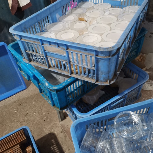 马山县黑水虻虫卵