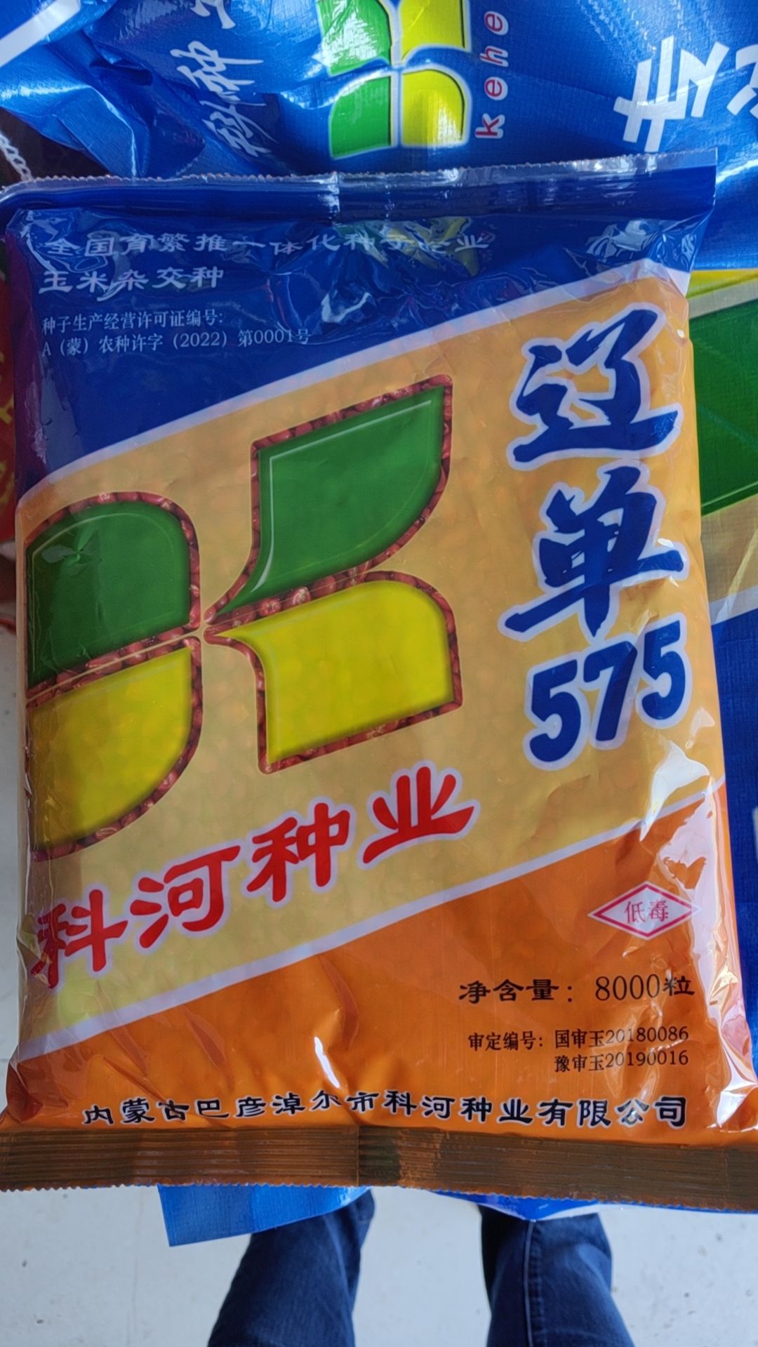 邯郸国审大穗辽单575