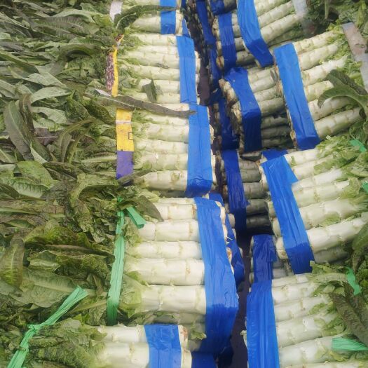 当阳市湖北精品红叶香莴笋大量上市中，质量好，价格优，可全国发货